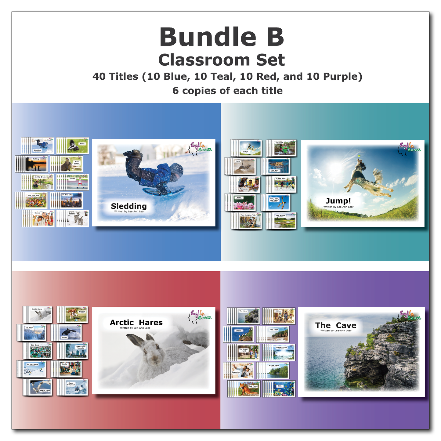 Bundle B - Classroom Set