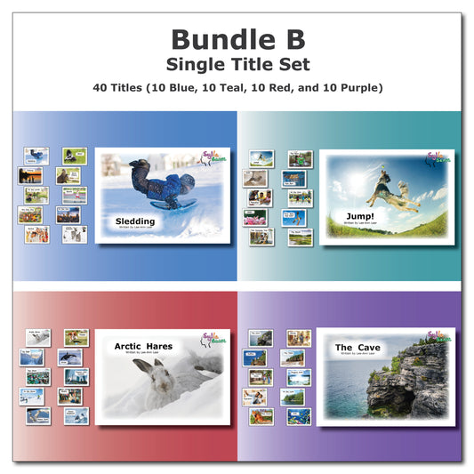 Bundle B - Single Title Set