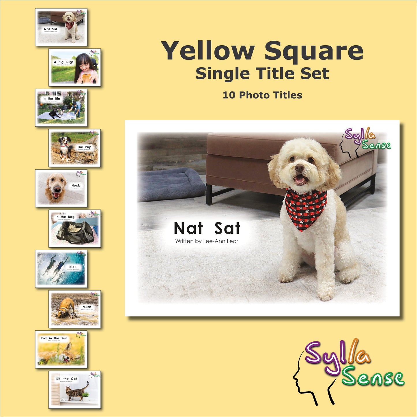 Yellow Square - Single Title Set