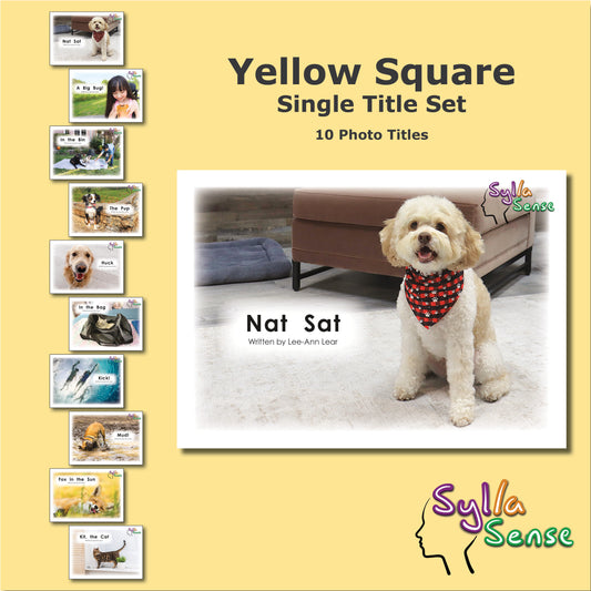 Yellow Square - Single Title Set