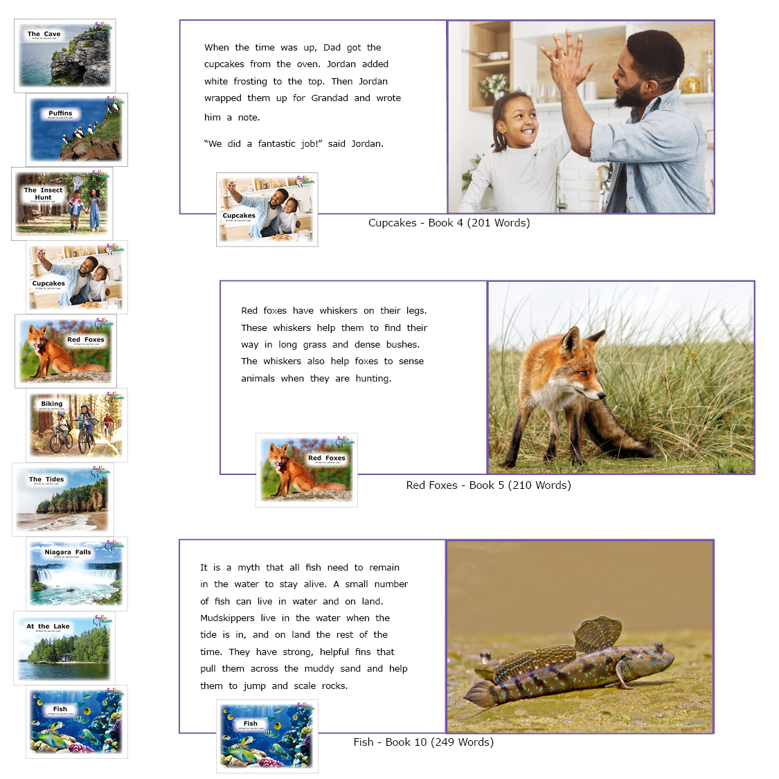 Purple Series - Classroom Set