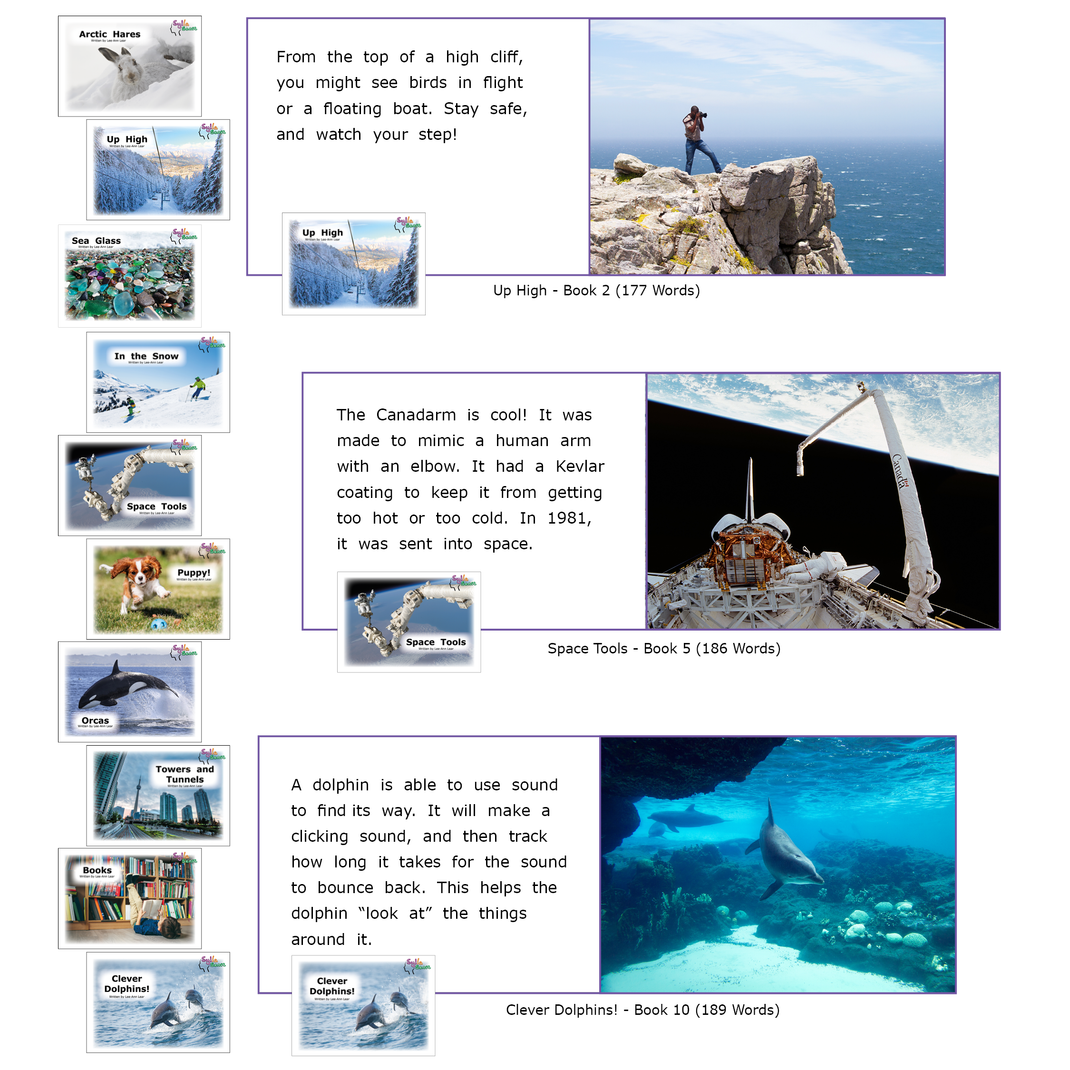 Red Series – SyllaSense